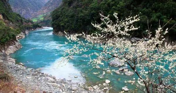 西城区运动员在“二冬会”比赛中喜获“八金一银”