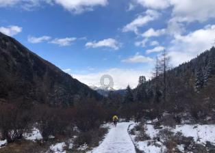 脑洞小老弟无实名认证